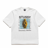 STÜSSY PERMANENT COLLECTION P.D. TEE - NATURAL